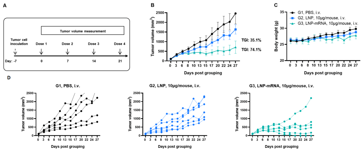 Figure 1. Antitumor activity of LNP-mRNA against syngeneic tumors.