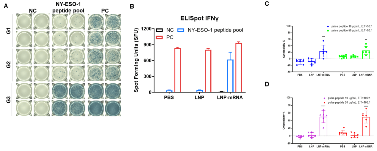 Figure 2. (A and B) Detection of vaccine-induced immune responses in B-HLA-A2.1 mice by IFN-γ ELISpot assay.