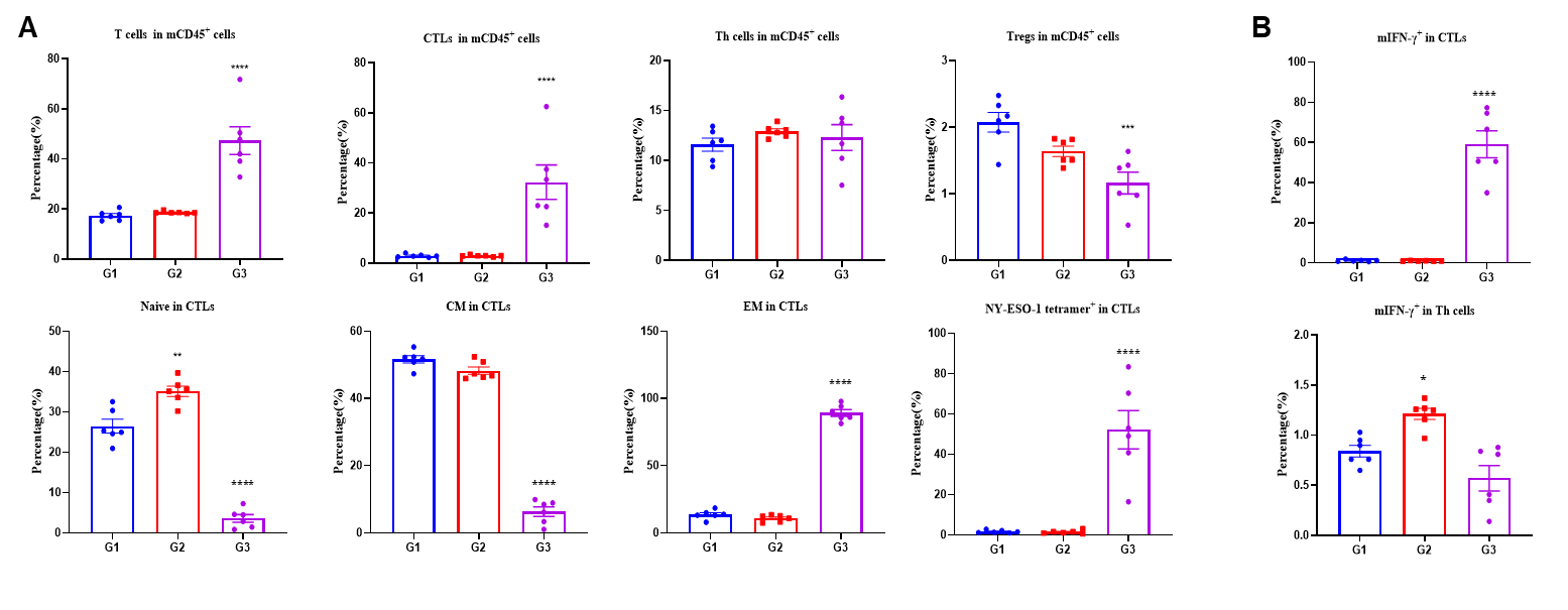 Figure 3. Vaccination mRNA vaccine generates specific effector CD8+ T cells in spleens.