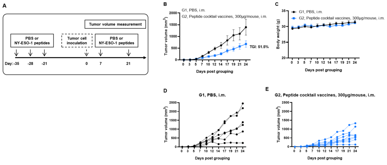 Figure 1. Antitumor activity of NY-ESO-1 peptides against syngeneic tumors.