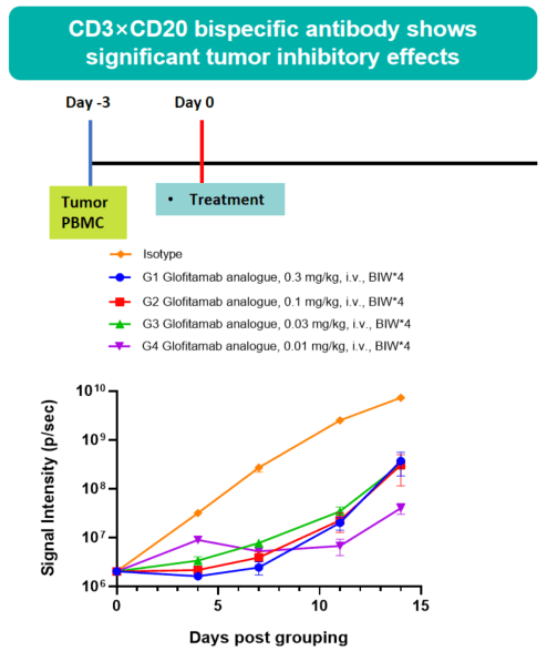 In vivo efficacy evaluation of a bispecific antibody in B-NDG mice reconstituted with human PBMCs 3