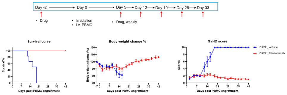 Preclinical Efficacy of OX40 Antibody in human PBMC engrafted B-NDG Mice