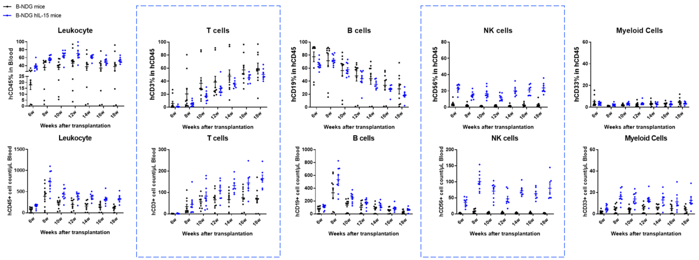Human CD34+ HSC immune reconstitution based B-NDG mice vs B-NDG hIL15 mice