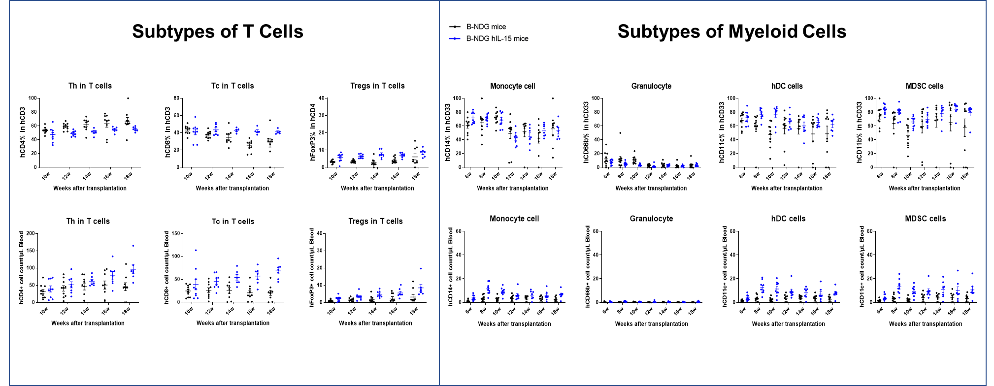 Human CD34+ HSC immune reconstitution based B-NDG mice vs B-NDG hIL15 mice 2