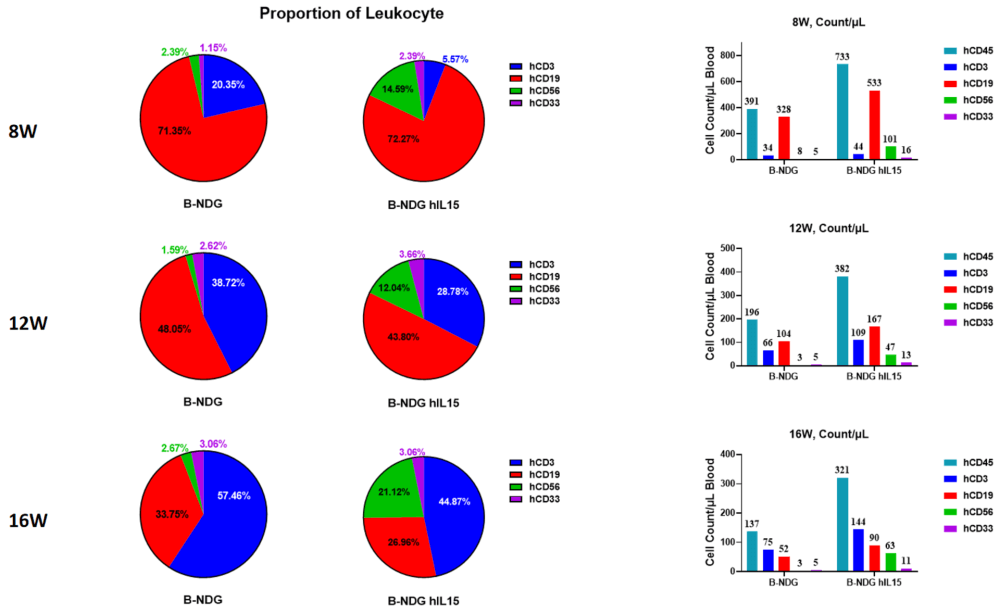 Human CD34+ HSC immune reconstitution based B-NDG mice vs B-NDG hIL15 mice 3
