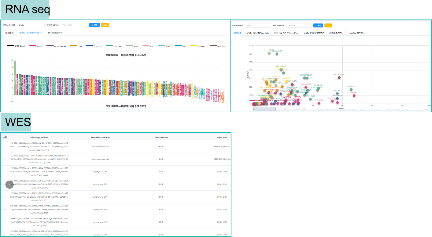 Biocytogen's PDX Seq Database