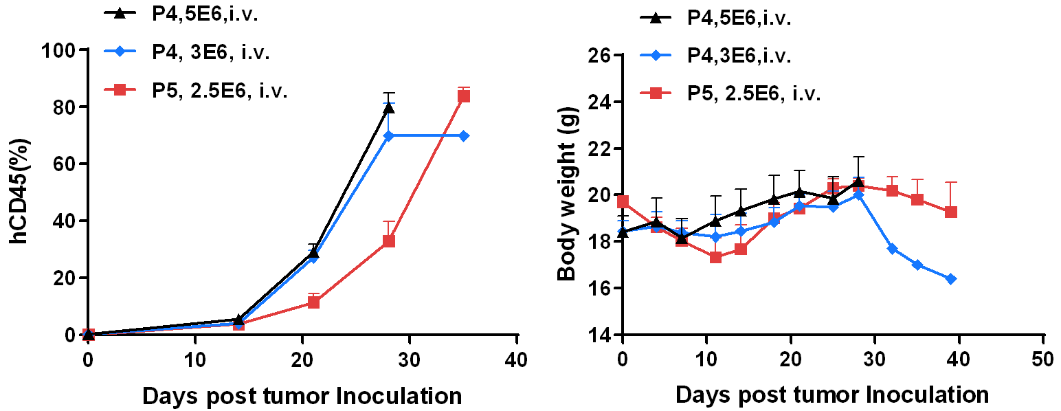 Growth Curve in Different Passages of B-NDG Mice