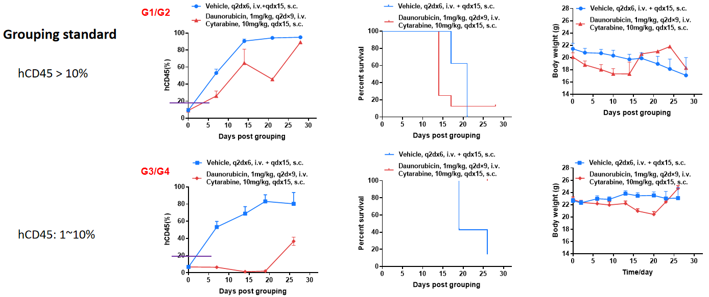 In Vivo Efficacy of Chemotherapy