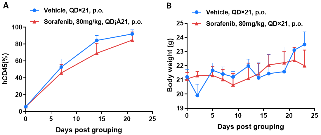 In Vivo Efficacy of Chemotherapy