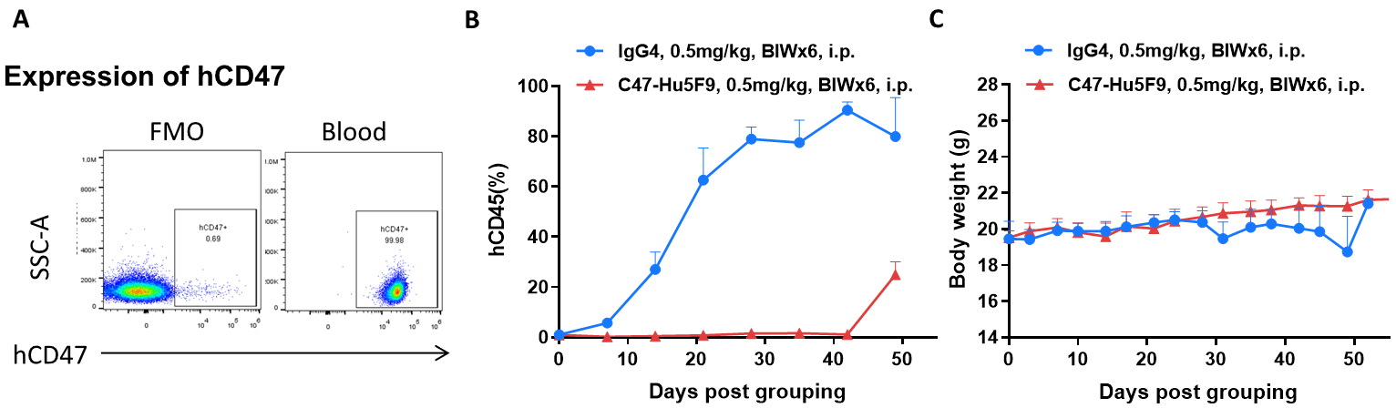 In Vivo Efficacy of Antibody