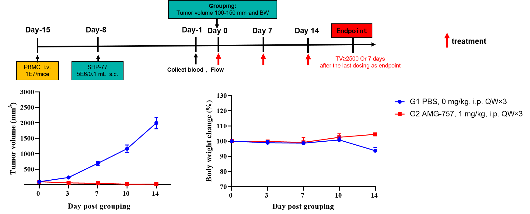 B-NDG MHC I/II DKO mice Plus reconstituted with PBMCs were used for AMG-757 efficacy studies