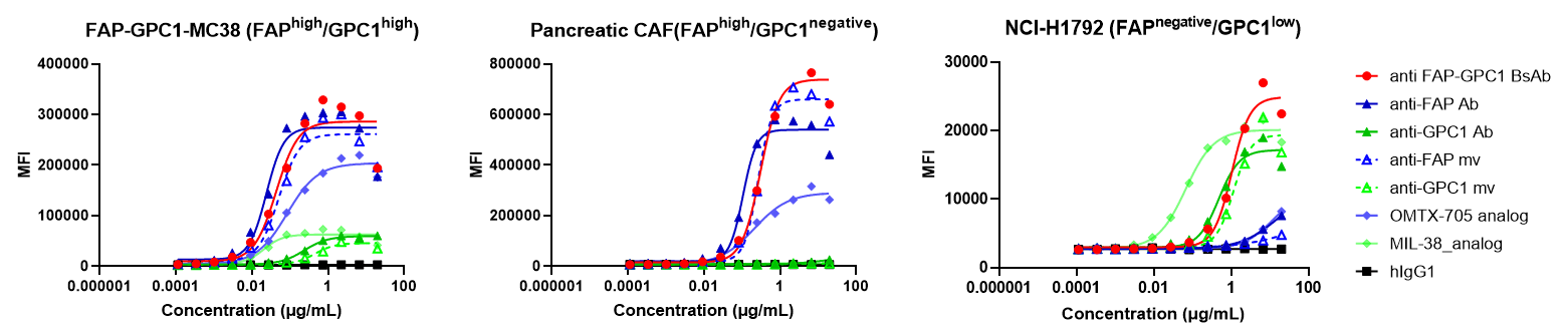 Binding curves showing that the FAP × GPC1 bispecific antibody retains antigen binding activity comparable to parental antibodies across FAP-GPC1-MC38 cells, pancreatic CAFs, and NCI-H1792 tumor cells.