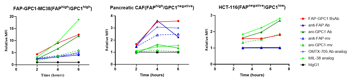 Kinetic curves showing time-dependent internalization of the BCG026 FAP × GPC1 bispecific antibody backbone versus monovalent and bivalent parental antibody controls across stromal and tumor cell lines.