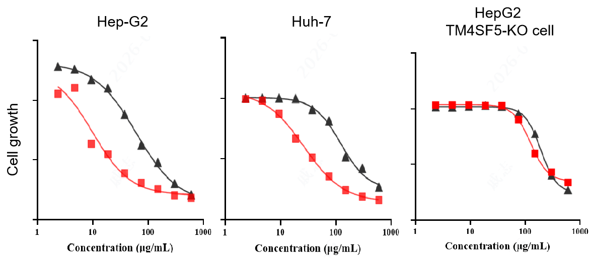 In vitro cell killing curves showing BCG015 target-dependent cytotoxicity in TM4SF5-positive Hep-G2 and Huh-7 cells and reduced activity in Hep-G2 TM4SF5-knockout cells.