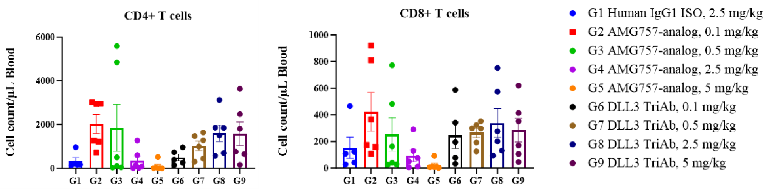 Dose-dependent T-cell proliferation data showing DLL3 × CD3 × 4-1BB TriAb increases human CD3-positive T cells without inducing T-cell apoptosis in PBMC-humanized mice.
