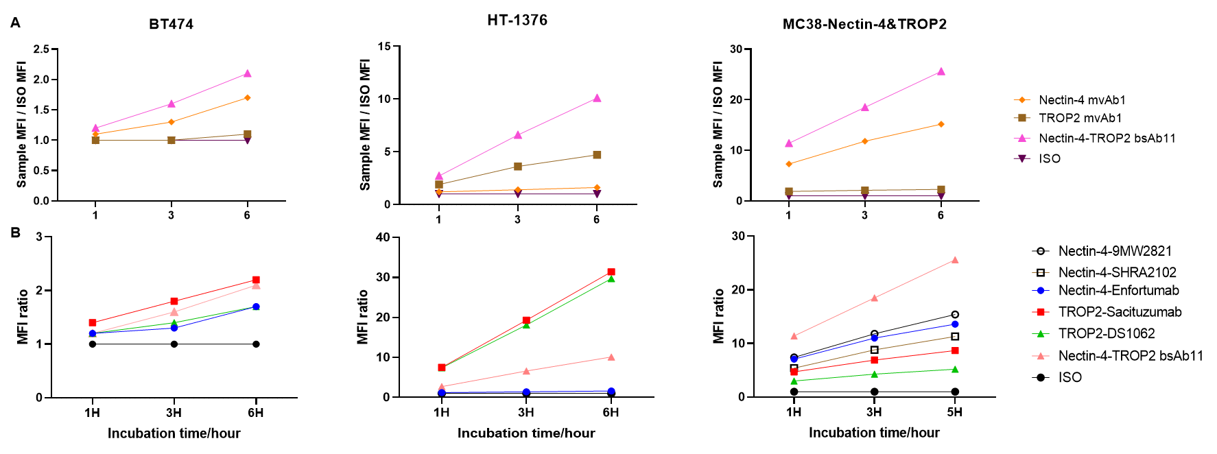 Internalization data showing cooperative internalization of BCG039 Nectin-4 × TROP2 bispecific antibody versus parental monovalent antibodies and stronger internalization than benchmark comparators in multiple tumor cell lines.