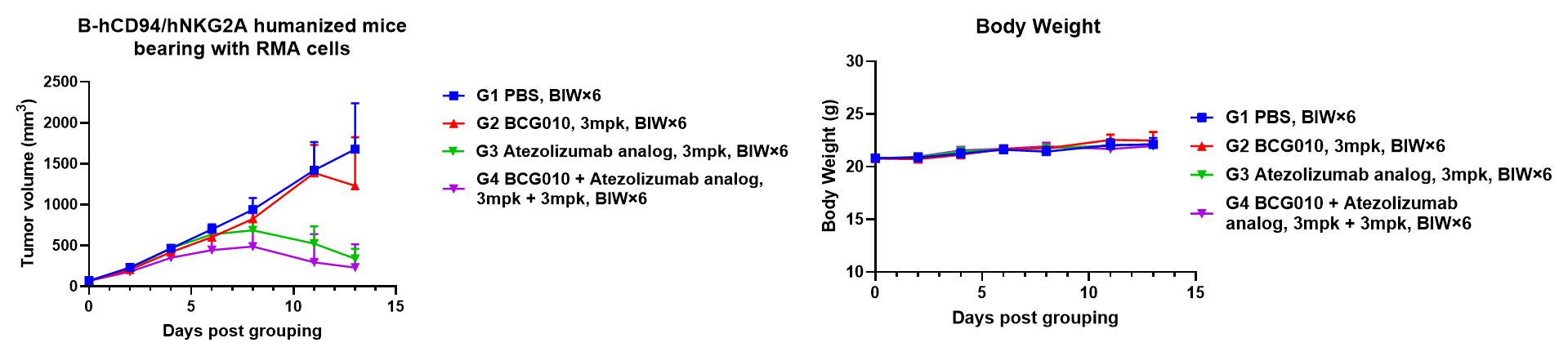 Tumor volume and body weight curves showing BCG010 combined with Atezolizumab analog inhibiting RMA tumor growth in B-hCD94/hNKG2A humanized mice without body weight loss.
