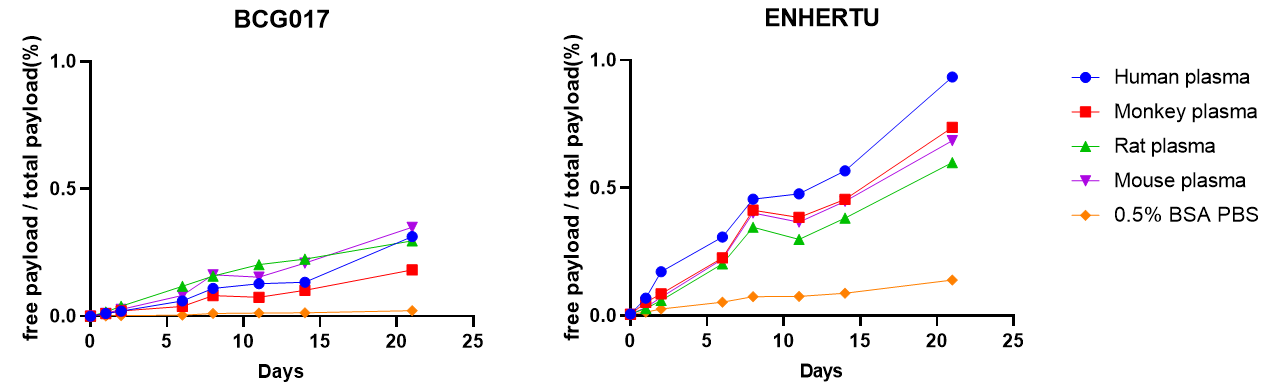 Line graphs showing free payload percentage over total payload for BCG017 and Enhertu after plasma incubation in human, monkey, rat, and mouse plasma, with BCG017 showing less than 0.5% free BCPT02 after 21 days.