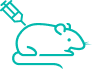 Fully Human Antibody Platform icon