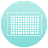 Target KO RenMice® Immunization icon