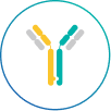 BsAb Platform icon