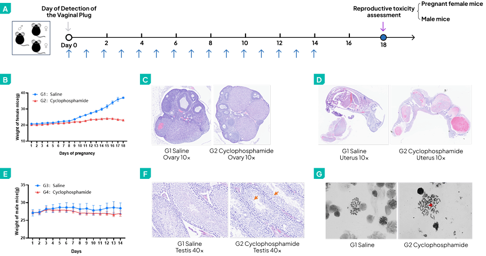 Data Highlights image 3
