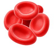 Erythroid Cells icon