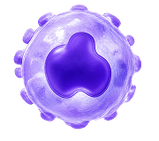 Myeloid Cells icon
