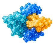 Coagulation Factors icon