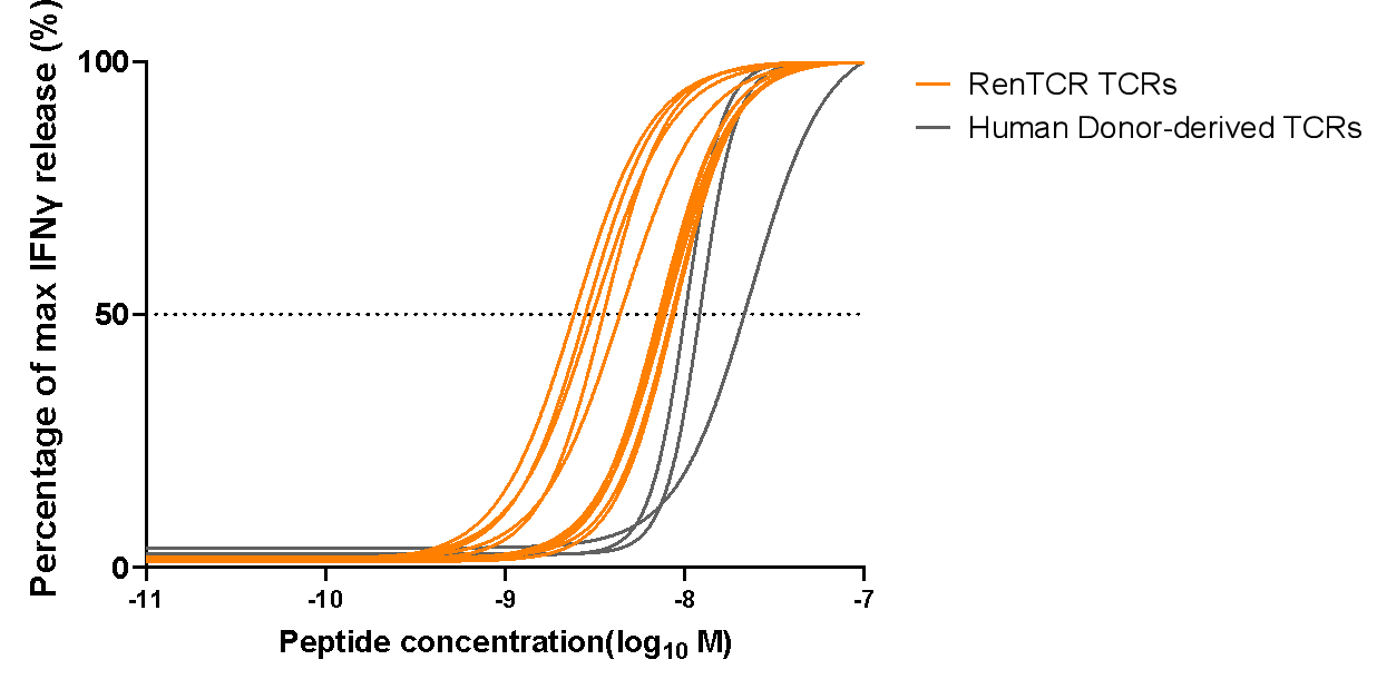 Validation Data img 1