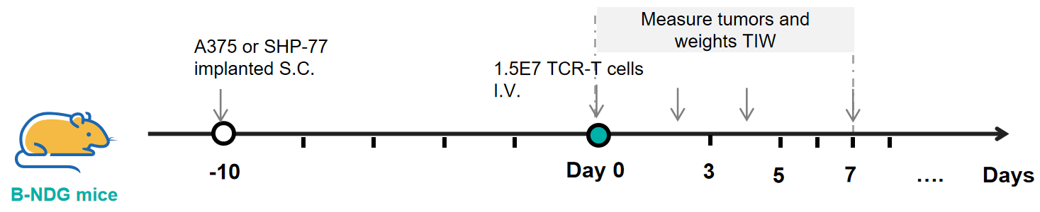 Validation Data img 3