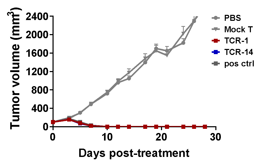 Validation Data img 4