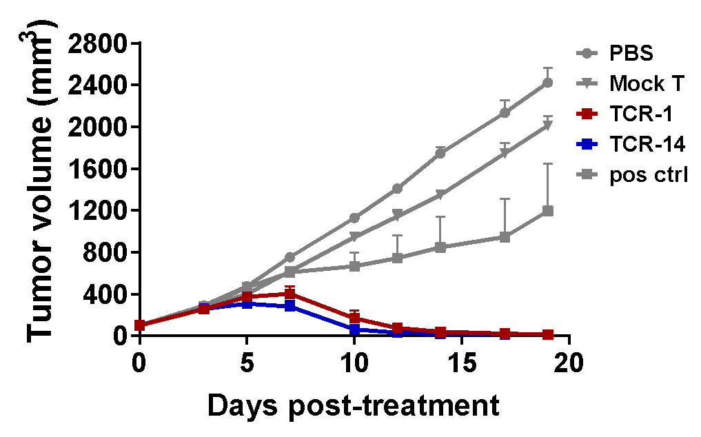 Validation Data img 5