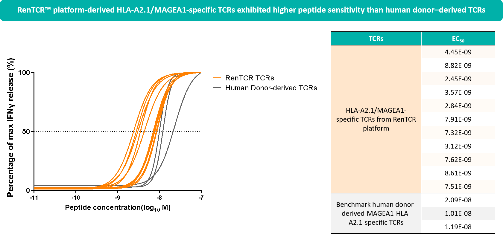 RenTCR™ platform-derived TCRs exhibit higher peptide sensitivity than human donor-derived TCRs img