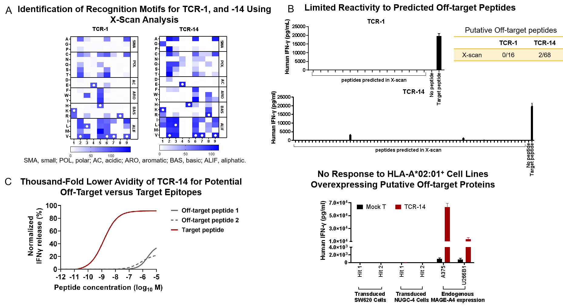 Candidate TCRs Demonstrated No Off-target Reactivity img 3