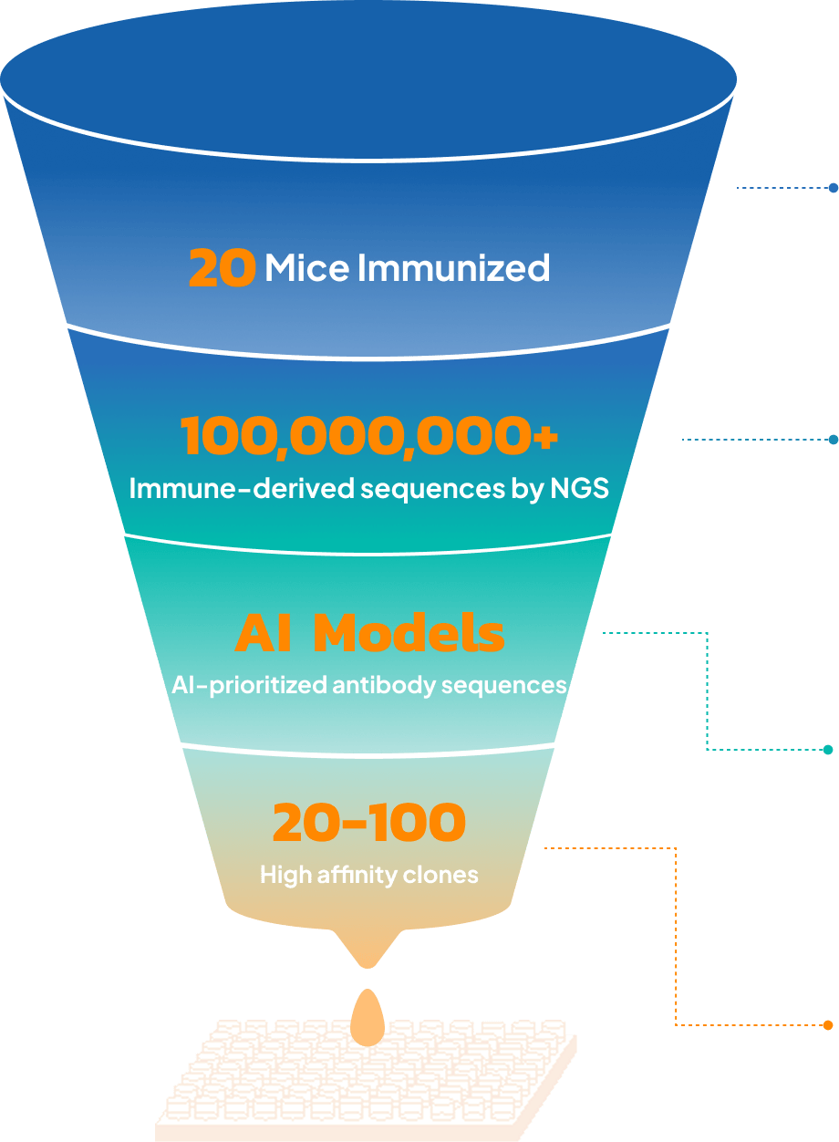 Funnel Chart