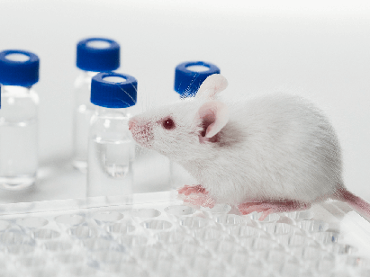 Preclinical Services