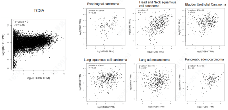 Scatter plots showing the transcriptomic co-expression of ITGB6 and B7-H3 across multiple TCGA solid tumor types.
